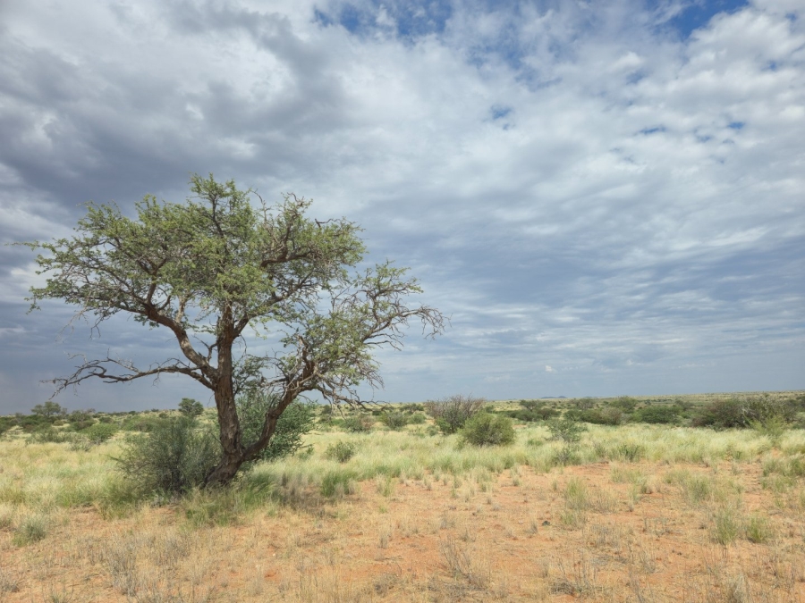 Commercial Property for Sale in Upington Rural Northern Cape